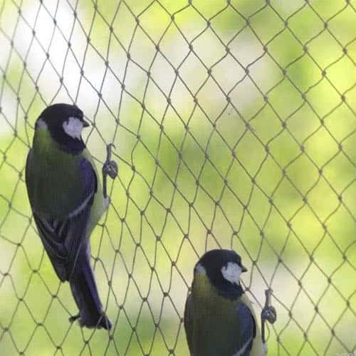 Balcony Safety Nets in Hyderabad